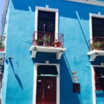 rośliny doniczkowe na balkonach