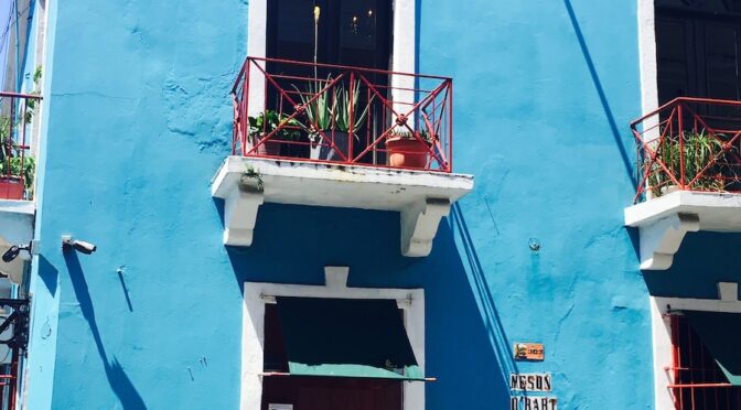 Hodowla roślin doniczkowych na balkonie – podpowiedzi